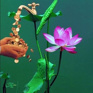 Meet your Posher, Van